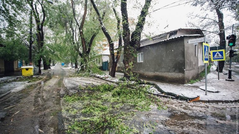 April snow causes HAVOC in Moldova (PHOTO/VIDEO)