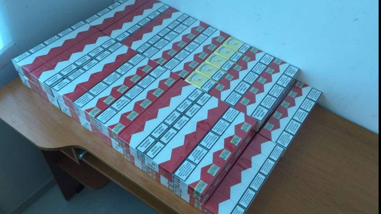 Customs officers prevent attempted smuggling of 17,000 cigarettes (PHOTO)