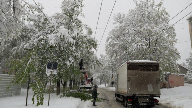 SECOND day of snowstorm in Moldova. Blizzard SHUTS DOWN most of the country (PHOTO/VIDEO)