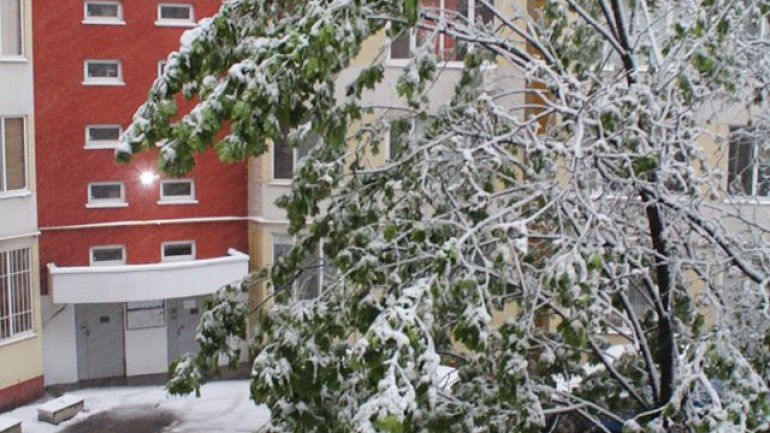 April snow causes HAVOC in Moldova (PHOTO/VIDEO)