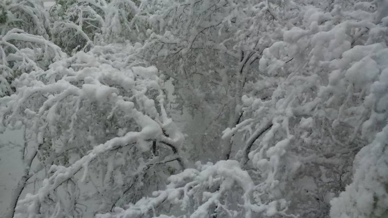 SECOND day of snowstorm in Moldova. Blizzard SHUTS DOWN most of the country (PHOTO/VIDEO)