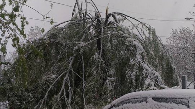 April snow causes HAVOC in Moldova (PHOTO/VIDEO)