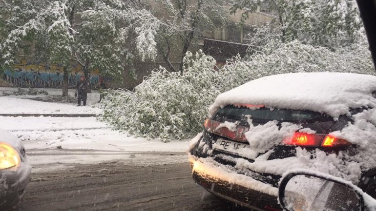 April snow causes HAVOC in Moldova (PHOTO/VIDEO)