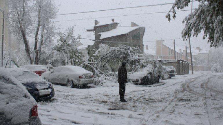 April snow causes HAVOC in Moldova (PHOTO/VIDEO)