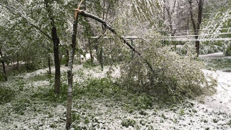 April snow causes HAVOC in Moldova (PHOTO/VIDEO)