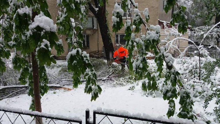 April snow causes HAVOC in Moldova (PHOTO/VIDEO)