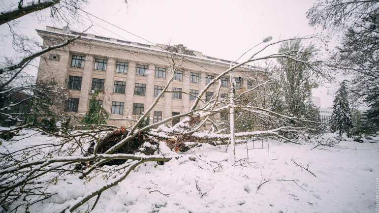 SECOND day of snowstorm in Moldova. Blizzard SHUTS DOWN most of the country (PHOTO/VIDEO)