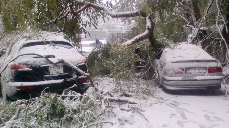 April snow causes HAVOC in Moldova (PHOTO/VIDEO)