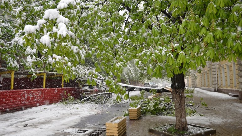 April snow causes HAVOC in Moldova (PHOTO/VIDEO)