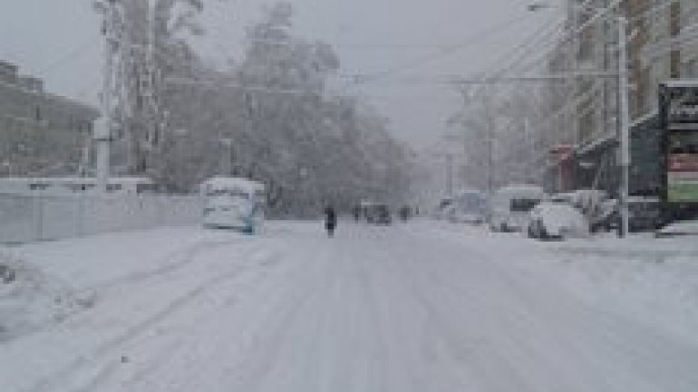 SECOND day of snowstorm in Moldova. Blizzard SHUTS DOWN most of the country (PHOTO/VIDEO)