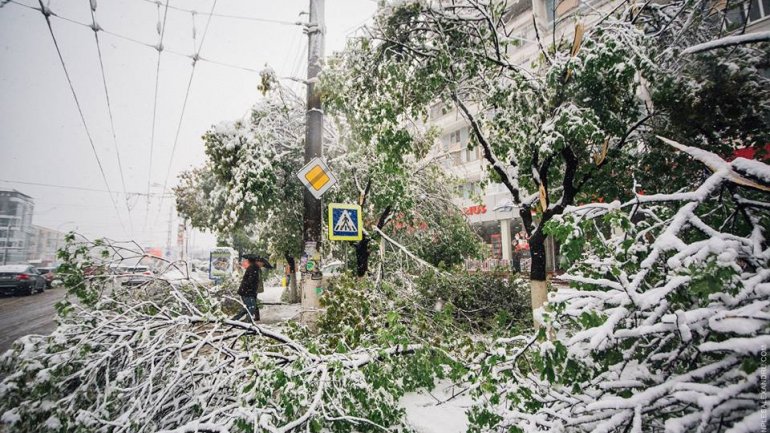 April snow causes HAVOC in Moldova (PHOTO/VIDEO)