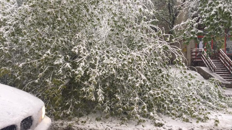 April snow causes HAVOC in Moldova (PHOTO/VIDEO)