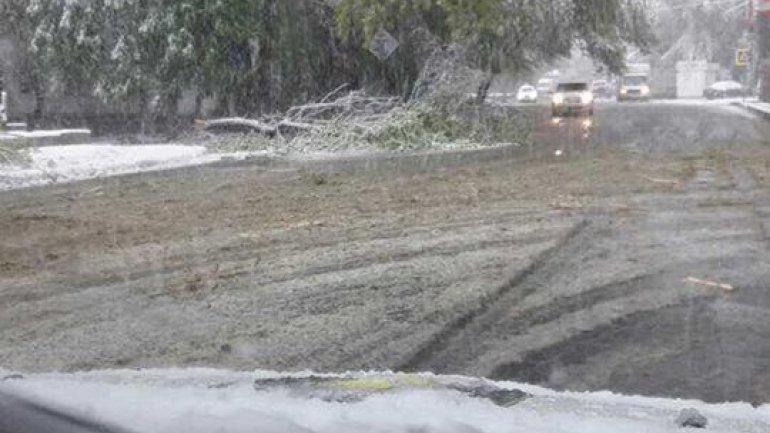 April snow causes HAVOC in Moldova (PHOTO/VIDEO)