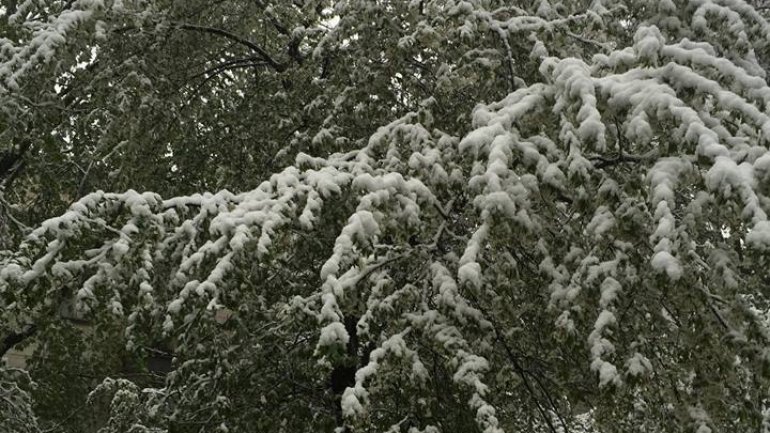 April snow causes HAVOC in Moldova (PHOTO/VIDEO)