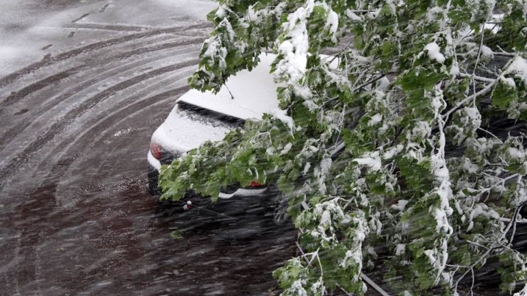 April snow causes HAVOC in Moldova (PHOTO/VIDEO)