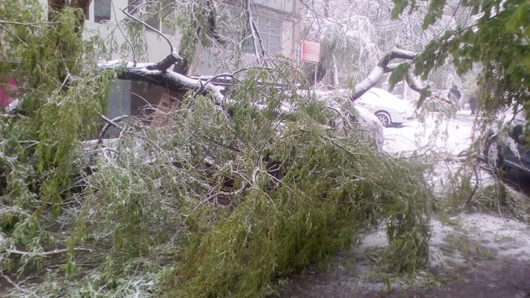 April snow causes HAVOC in Moldova (PHOTO/VIDEO)