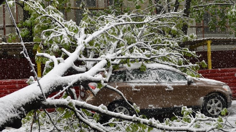 April snow causes HAVOC in Moldova (PHOTO/VIDEO)