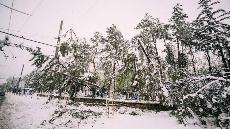 SECOND day of snowstorm in Moldova. Blizzard SHUTS DOWN most of the country (PHOTO/VIDEO)