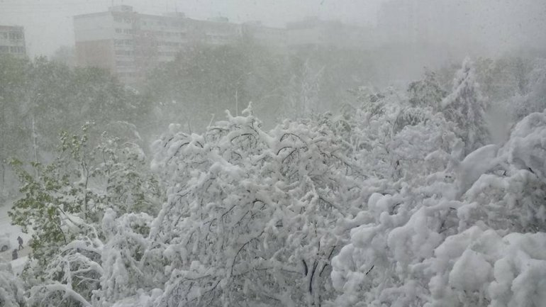 SECOND day of snowstorm in Moldova. Blizzard SHUTS DOWN most of the country (PHOTO/VIDEO)