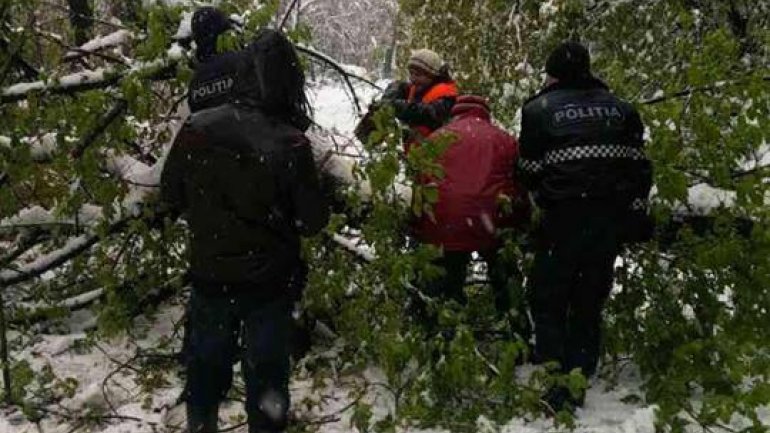 SECOND day of snowstorm in Moldova. Blizzard SHUTS DOWN most of the country (PHOTO/VIDEO)