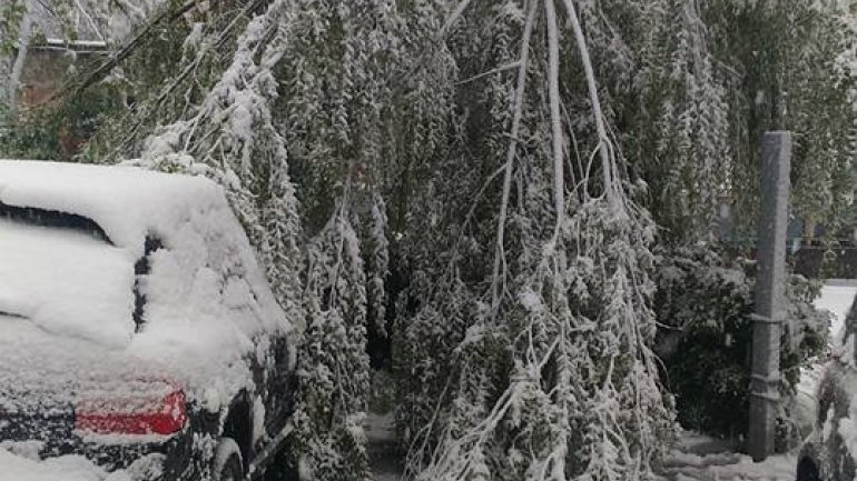 April snow causes HAVOC in Moldova (PHOTO/VIDEO)