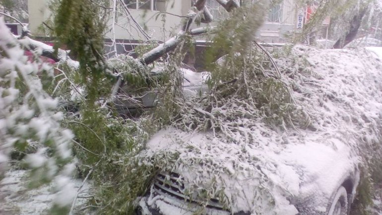 April snow causes HAVOC in Moldova (PHOTO/VIDEO)