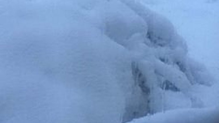 SECOND day of snowstorm in Moldova. Blizzard SHUTS DOWN most of the country (PHOTO/VIDEO)