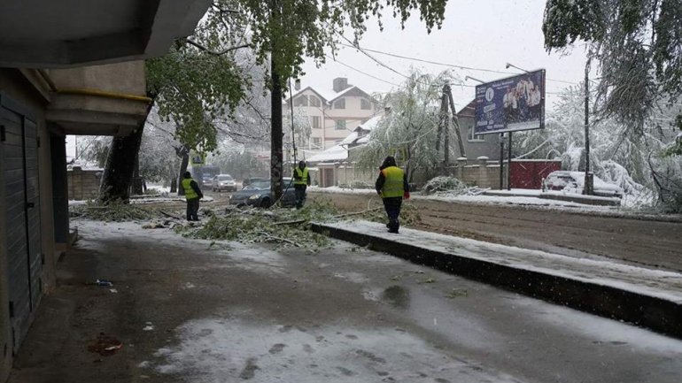 April snow causes HAVOC in Moldova (PHOTO/VIDEO)