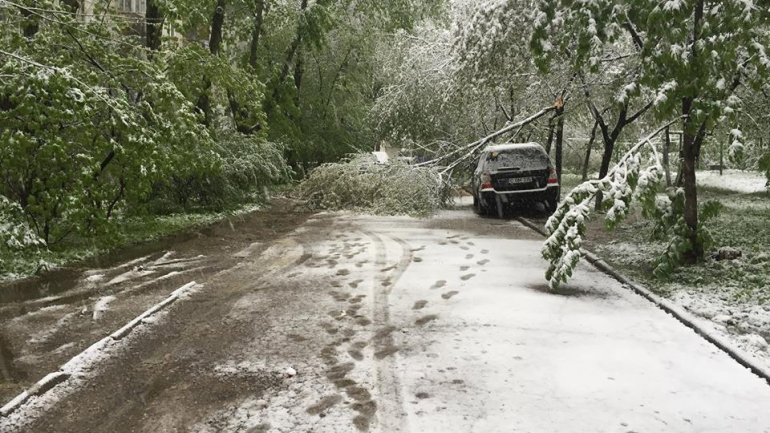 April snow causes HAVOC in Moldova (PHOTO/VIDEO)