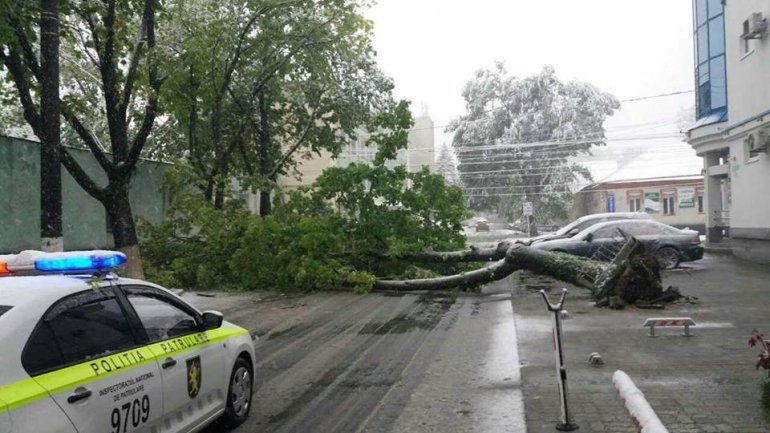 April snow causes HAVOC in Moldova (PHOTO/VIDEO)