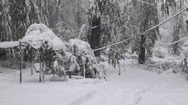 SECOND day of snowstorm in Moldova. Blizzard SHUTS DOWN most of the country (PHOTO/VIDEO)