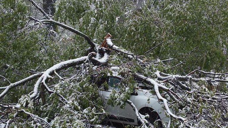 April snow causes HAVOC in Moldova (PHOTO/VIDEO)