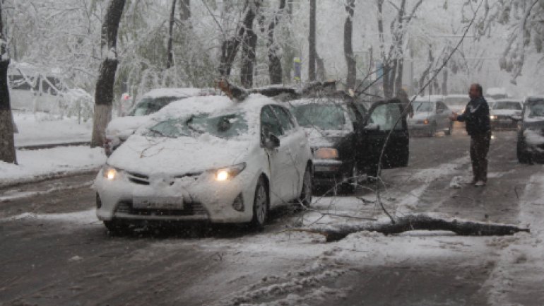 April snow causes HAVOC in Moldova (PHOTO/VIDEO)