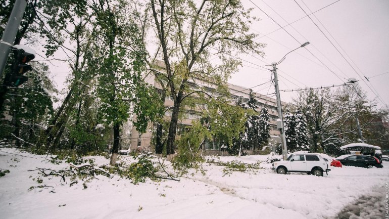 SECOND day of snowstorm in Moldova. Blizzard SHUTS DOWN most of the country (PHOTO/VIDEO)