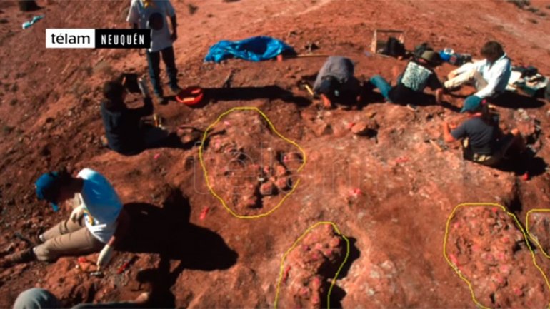 70 MILLION YEARS OLD dinosaur eggs with embryos inside unearthed in Argentina (VIDEO)