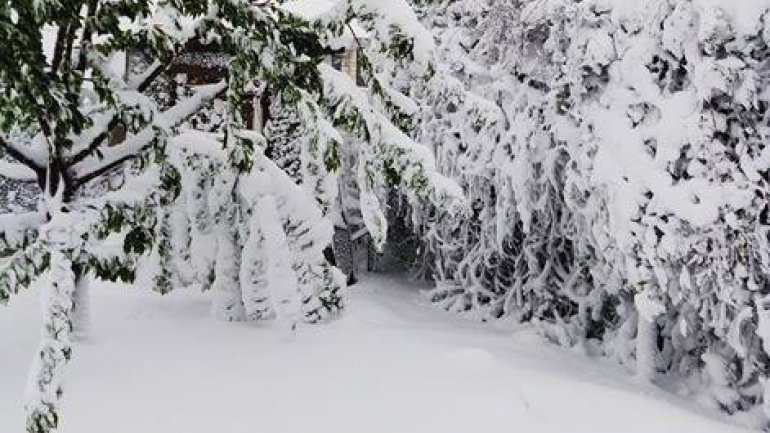 SECOND day of snowstorm in Moldova. Blizzard SHUTS DOWN most of the country (PHOTO/VIDEO)