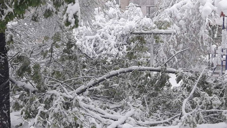 SECOND day of snowstorm in Moldova. Blizzard SHUTS DOWN most of the country (PHOTO/VIDEO)