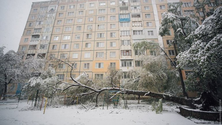 April snow causes HAVOC in Moldova (PHOTO/VIDEO)