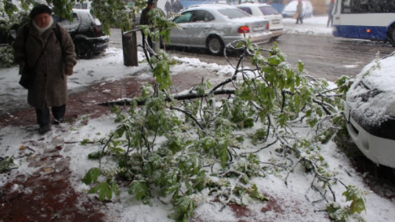 April snow causes HAVOC in Moldova (PHOTO/VIDEO)