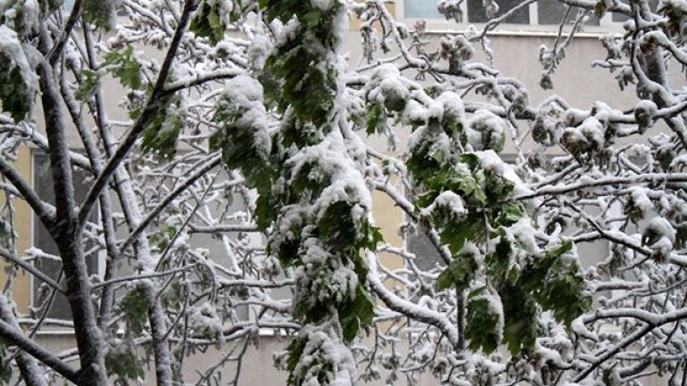 April snow causes HAVOC in Moldova (PHOTO/VIDEO)