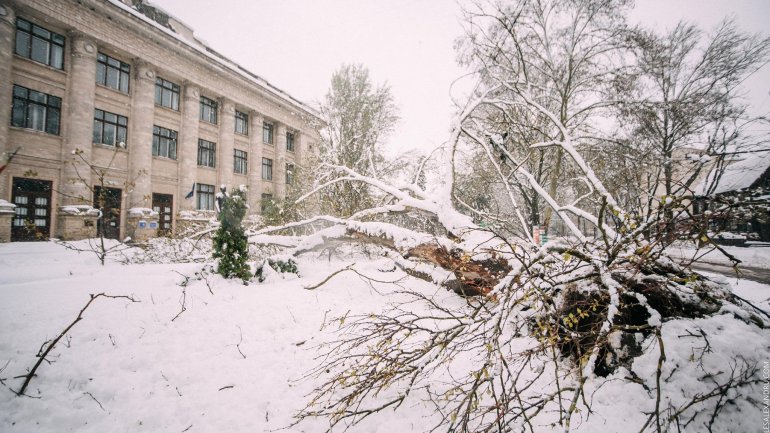 SECOND day of snowstorm in Moldova. Blizzard SHUTS DOWN most of the country (PHOTO/VIDEO)