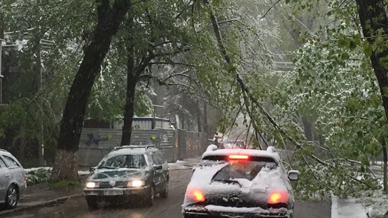 April snow causes HAVOC in Moldova (PHOTO/VIDEO)