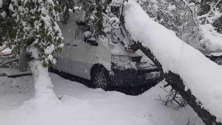 SECOND day of snowstorm in Moldova. Blizzard SHUTS DOWN most of the country (PHOTO/VIDEO)