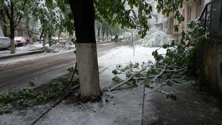 April snow causes HAVOC in Moldova (PHOTO/VIDEO)