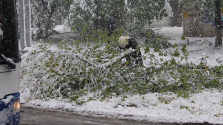 April snow causes HAVOC in Moldova (PHOTO/VIDEO)