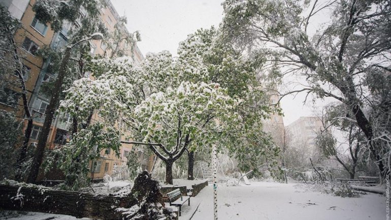 April snow causes HAVOC in Moldova (PHOTO/VIDEO)