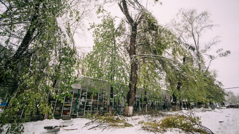 SECOND day of snowstorm in Moldova. Blizzard SHUTS DOWN most of the country (PHOTO/VIDEO)