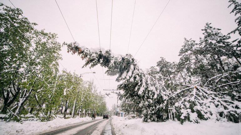 SECOND day of snowstorm in Moldova. Blizzard SHUTS DOWN most of the country (PHOTO/VIDEO)