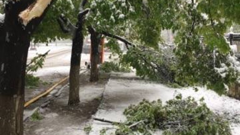 April snow causes HAVOC in Moldova (PHOTO/VIDEO)