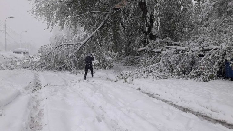 SECOND day of snowstorm in Moldova. Blizzard SHUTS DOWN most of the country (PHOTO/VIDEO)